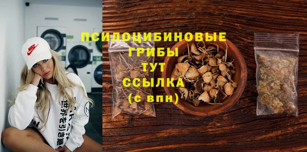 СК Алексеевка