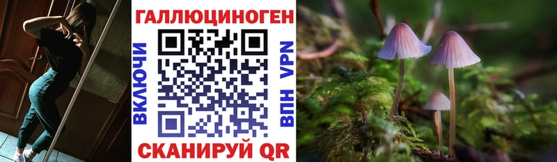 кракен сайт  Старая Русса  дарк нет официальный сайт  Псилоцибиновые грибы Cubensis 
